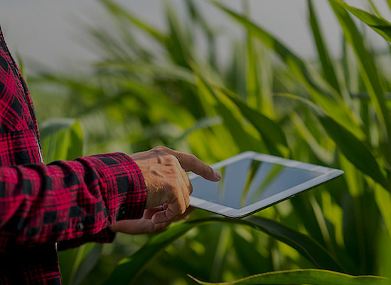 Ingeniería en Agrotecnología